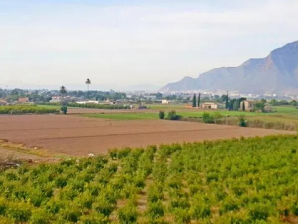 Terreno en Callosa de Segura
