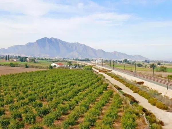 Terreno en Callosa de Segura