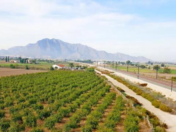 Terreno en Callosa de Segura