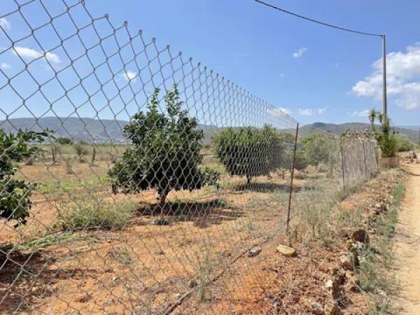 Terreno en Diseminado Pontets