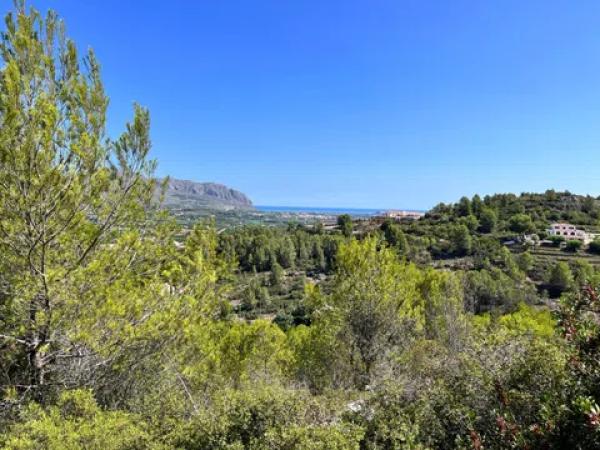 Terreno en calle España Vieja Z10 s/n