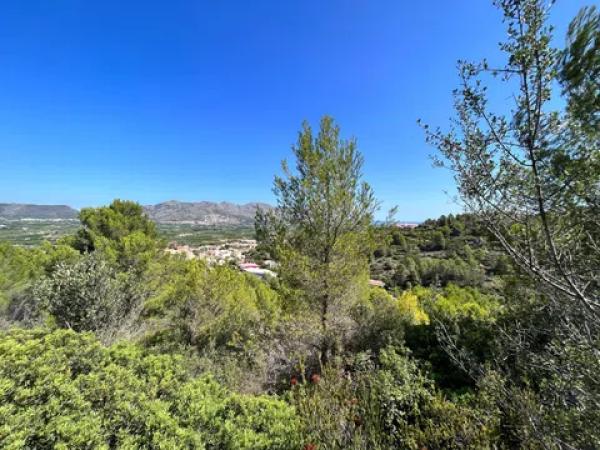 Terreno en calle España Vieja Z10 s/n