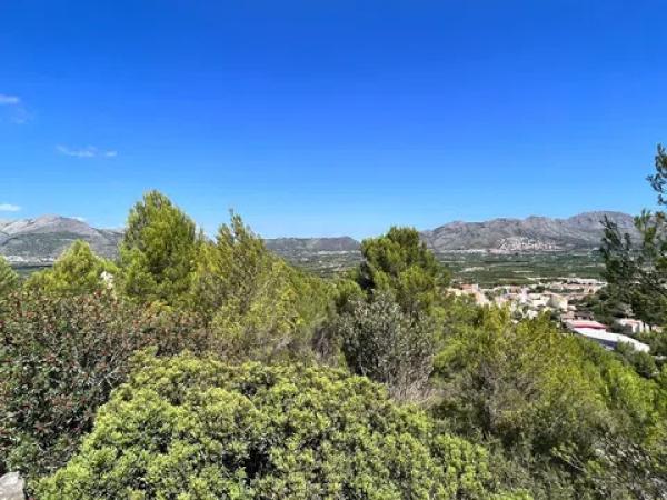 Terreno en calle España Vieja Z10 s/n