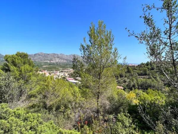 Terreno en calle España Vieja Z10 s/n