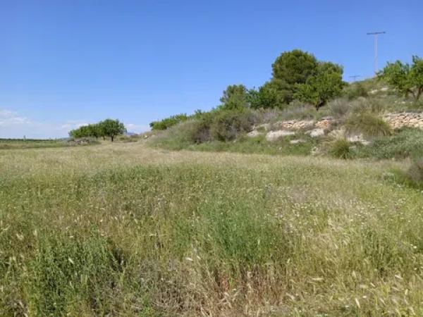 Terreno en parcela 13, 52