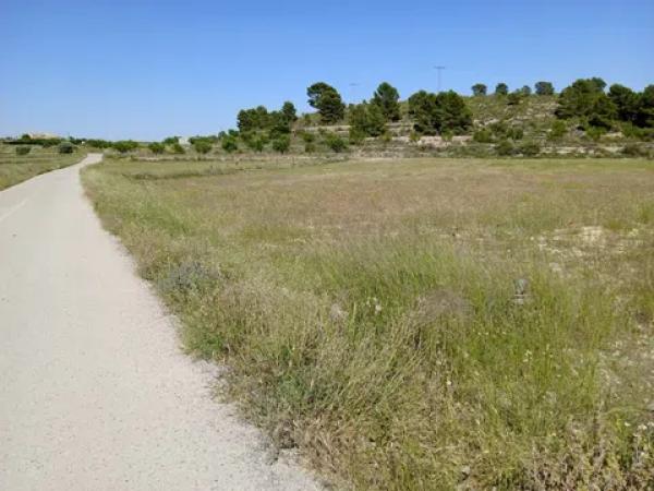 Terreno en parcela 13, 52