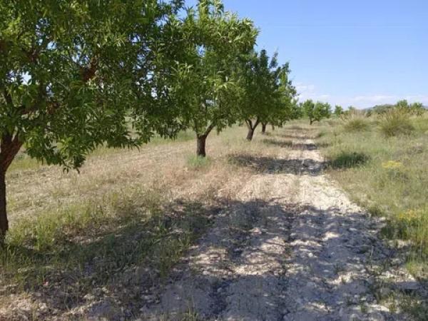 Terreno en parcela 13, 52