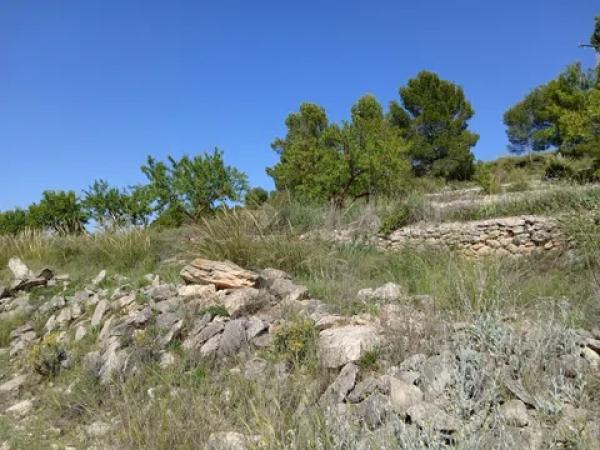 Terreno en parcela 13, 52