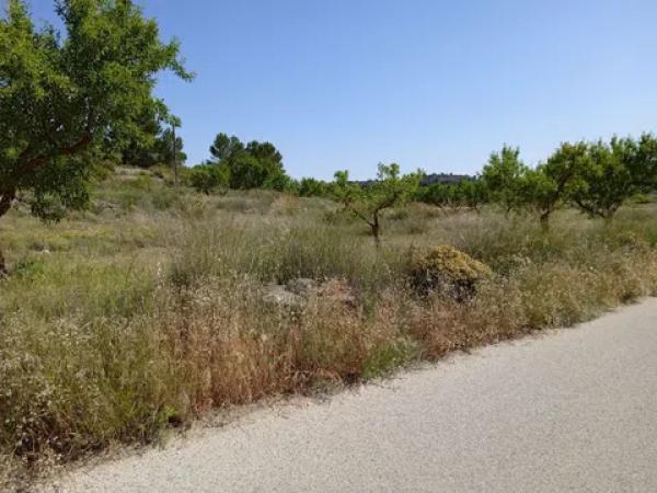 Terreno en parcela 13, 52