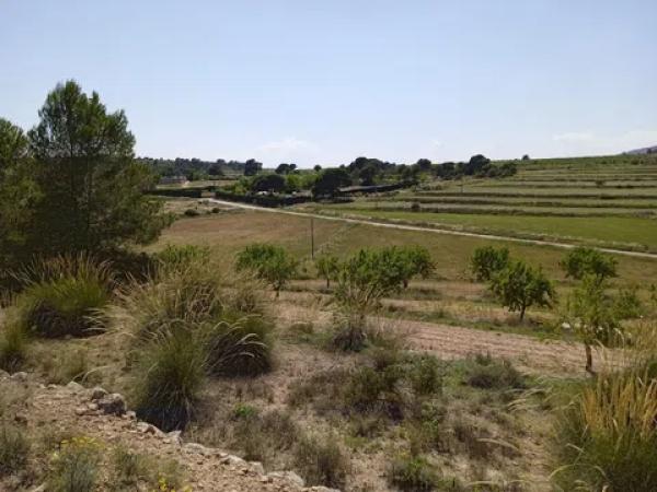 Terreno en parcela 13, 52