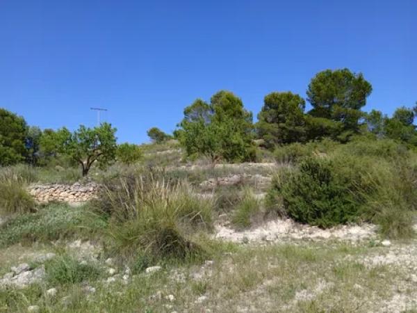 Terreno en parcela 13, 52