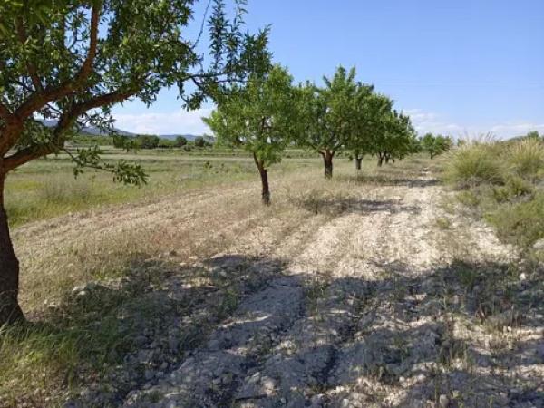 Terreno en parcela 13, 52