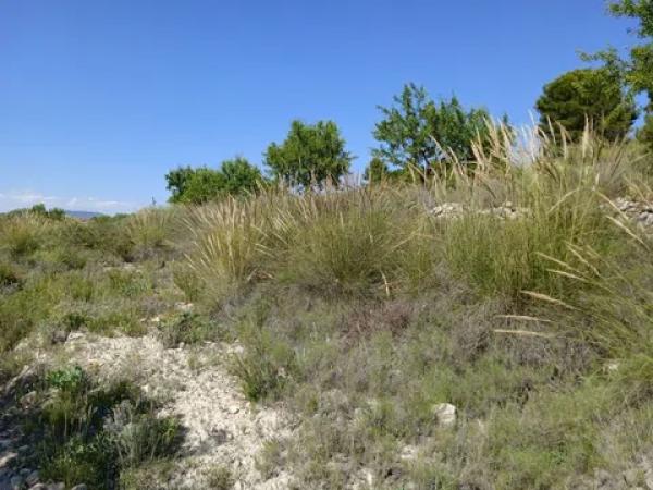 Terreno en parcela 13, 52