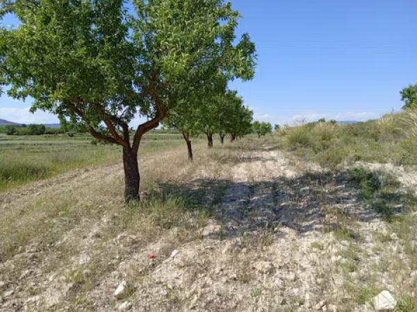 Terreno en parcela 13, 52