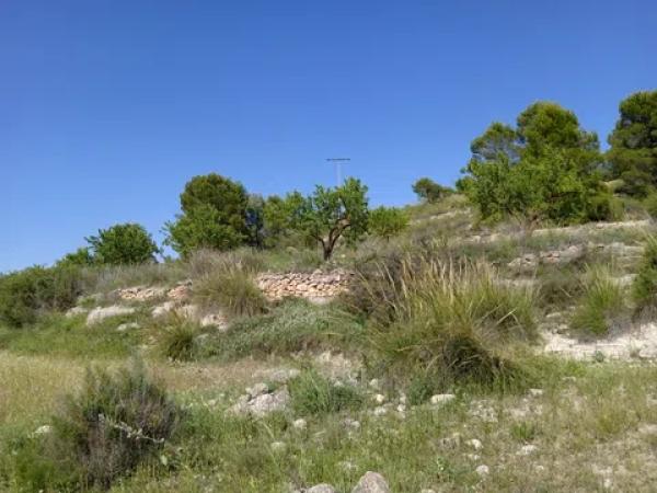 Terreno en parcela 13, 52