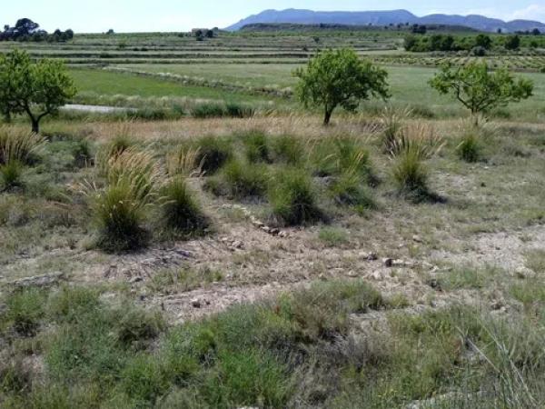 Terreno en parcela 13, 52