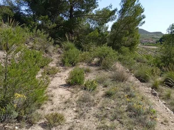 Terreno en parcela 13, 52