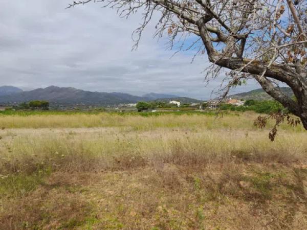 Terreno en camino de la Torreta de Canor s/n