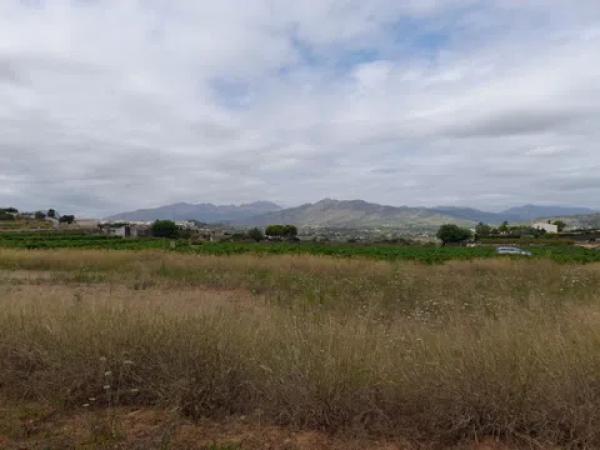 Terreno en camino de la Torreta de Canor s/n