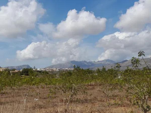 Terreno en camino de la Torreta de Canor s/n