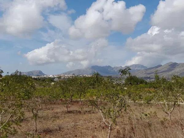 Terreno en camino de la Torreta de Canor s/n