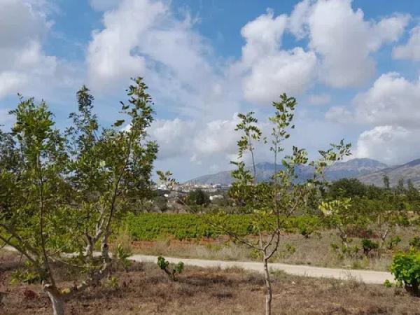 Terreno en camino de la Torreta de Canor s/n