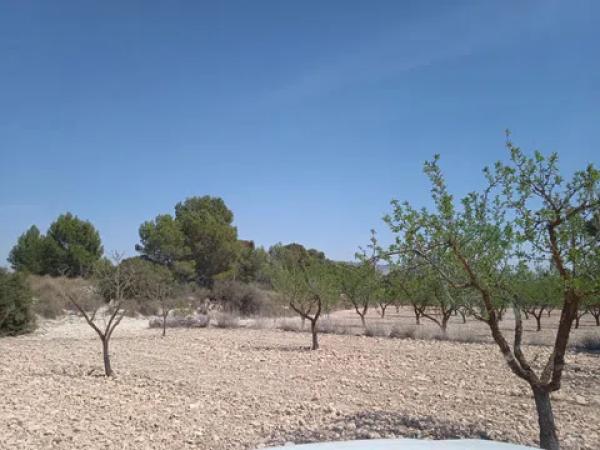 Terreno en La Caballusa, 50
