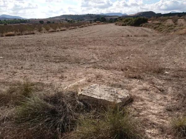 Terreno en La Caballusa, km 1