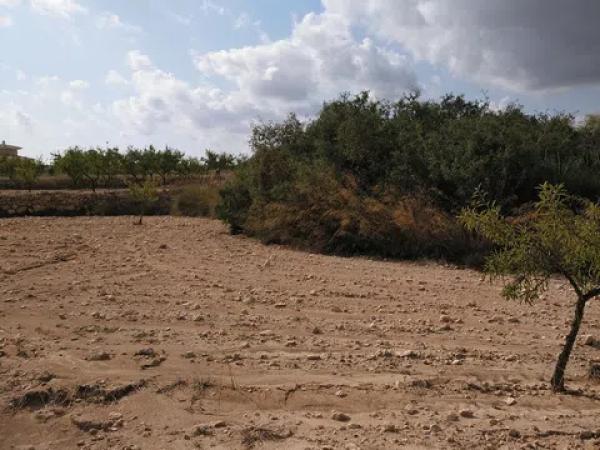 Terreno en La Caballusa, 50