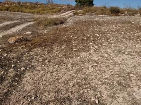 Terreno en La Caballusa, km 1