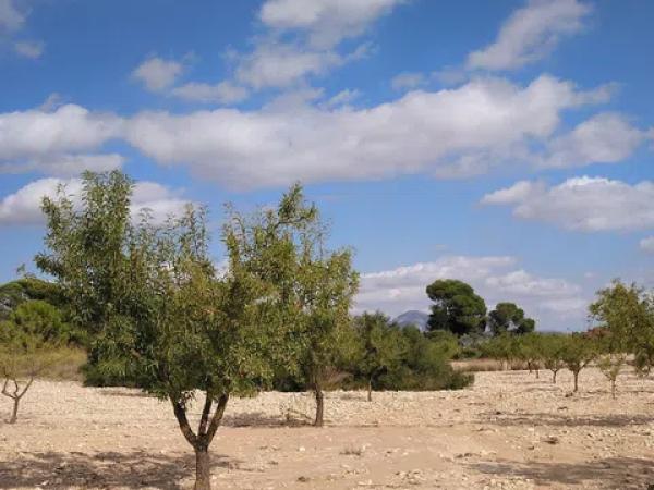 Terreno en La Caballusa, 50