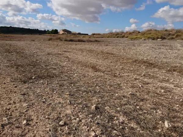 Terreno en La Caballusa, km 1