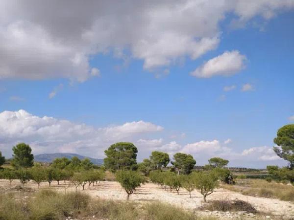 Terreno en La Caballusa, 50