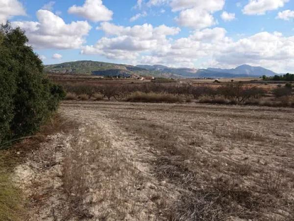 Terreno en La Caballusa, km 1