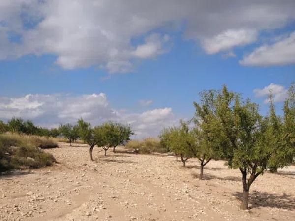 Terreno en La Caballusa, 50