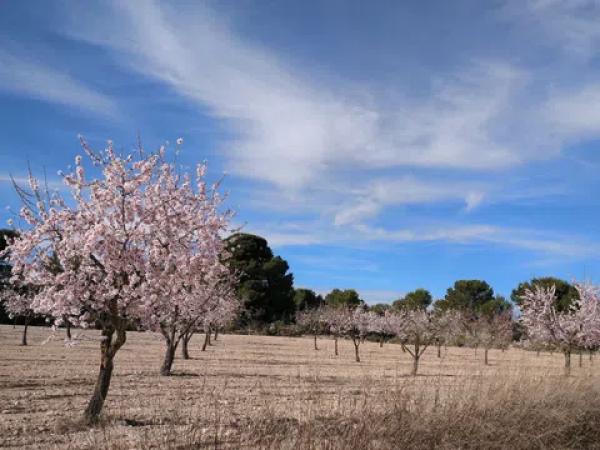 Terreno en La Caballusa, 50