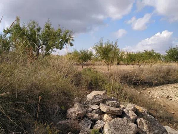 Terreno en La Caballusa, 50