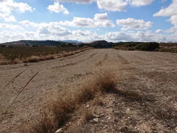 Terreno en La Caballusa, km 1