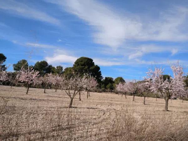 Terreno en La Caballusa, 50