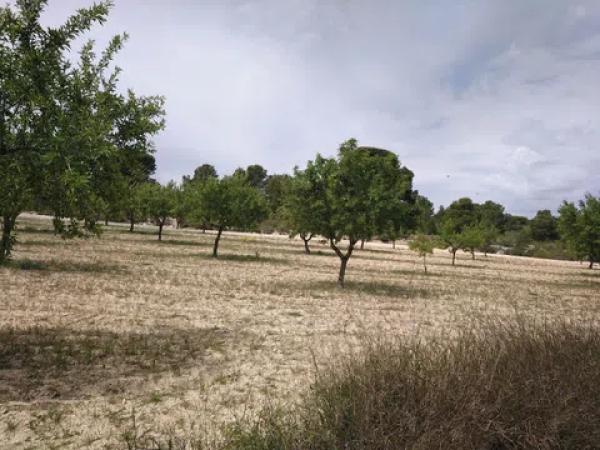 Terreno en La Caballusa, 50