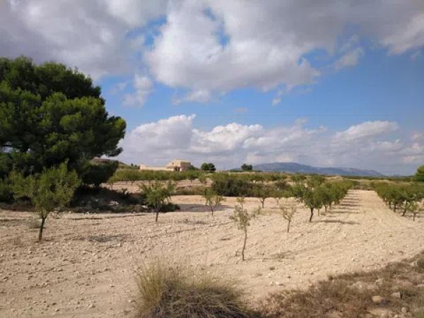 Terreno en La Caballusa, 50