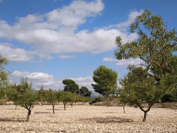 Terreno en La Caballusa, 50