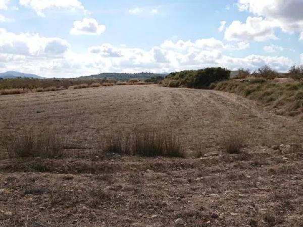 Terreno en La Caballusa, km 1