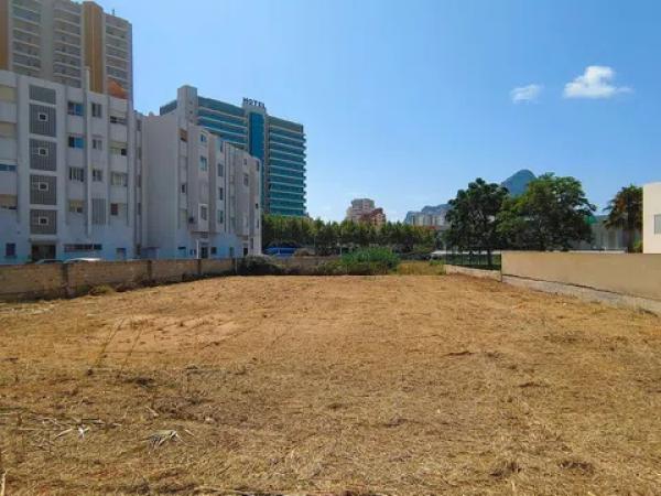 Terreno en Cometa-Carrió