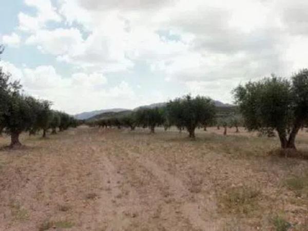 Terreno en Partida Cañada s/n