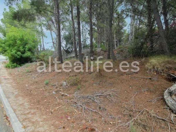 Terreno en calle Figuera