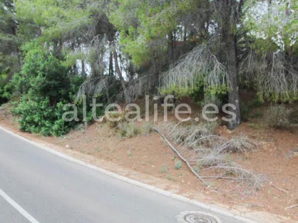 Terreno en calle Figuera