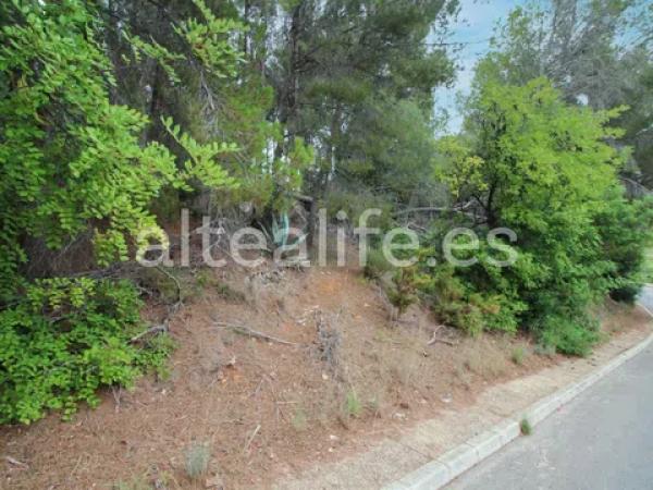 Terreno en calle Figuera