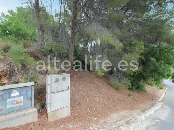 Terreno en calle Figuera