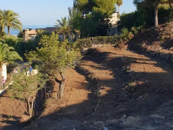 Terreno en calle Adelfas, 356